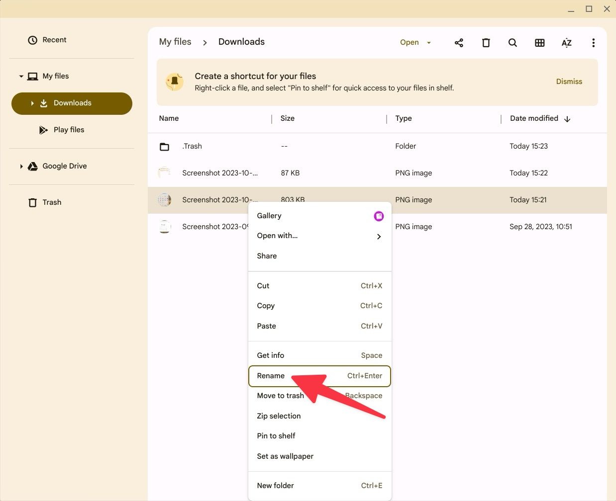 How to hide files and folders on your Chromebook