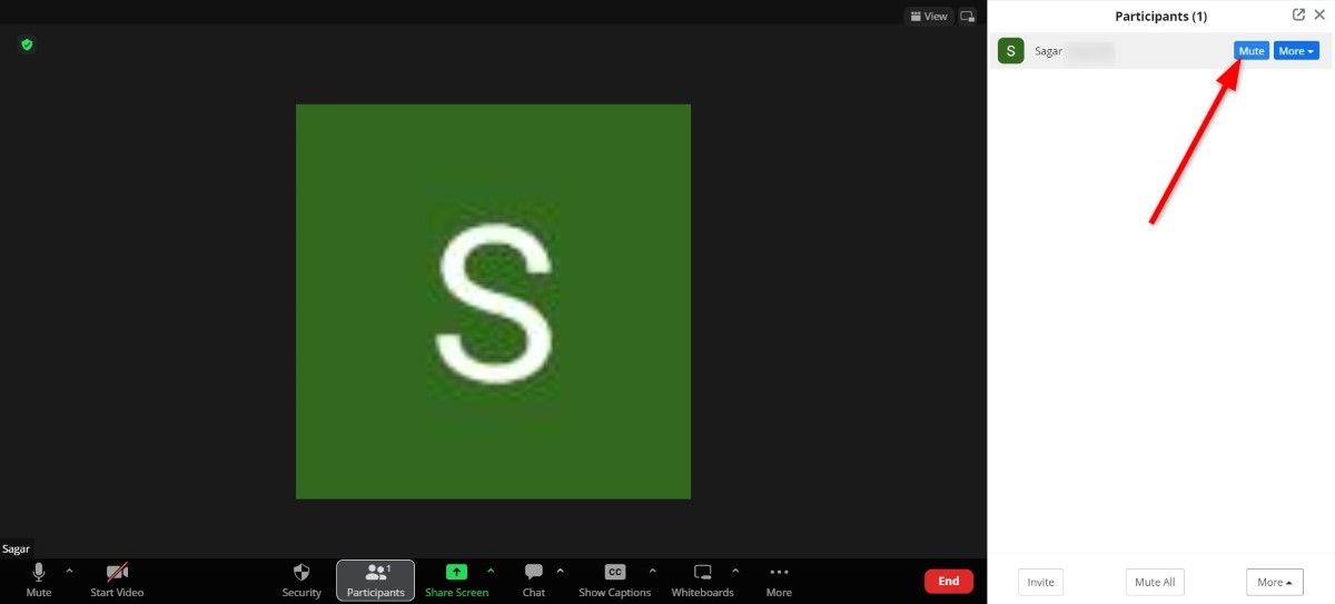 How to mute Zoom meeting participants