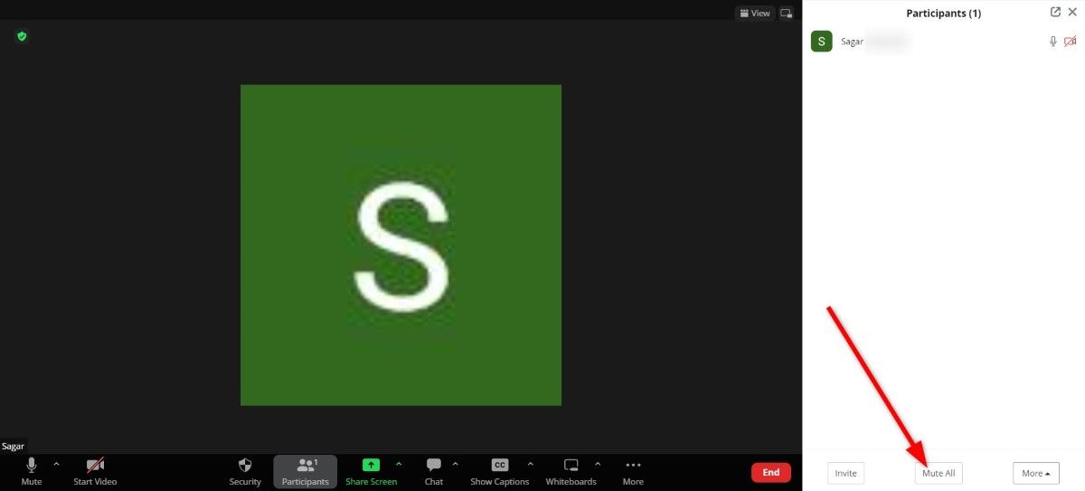 how to mute someone on zoom call