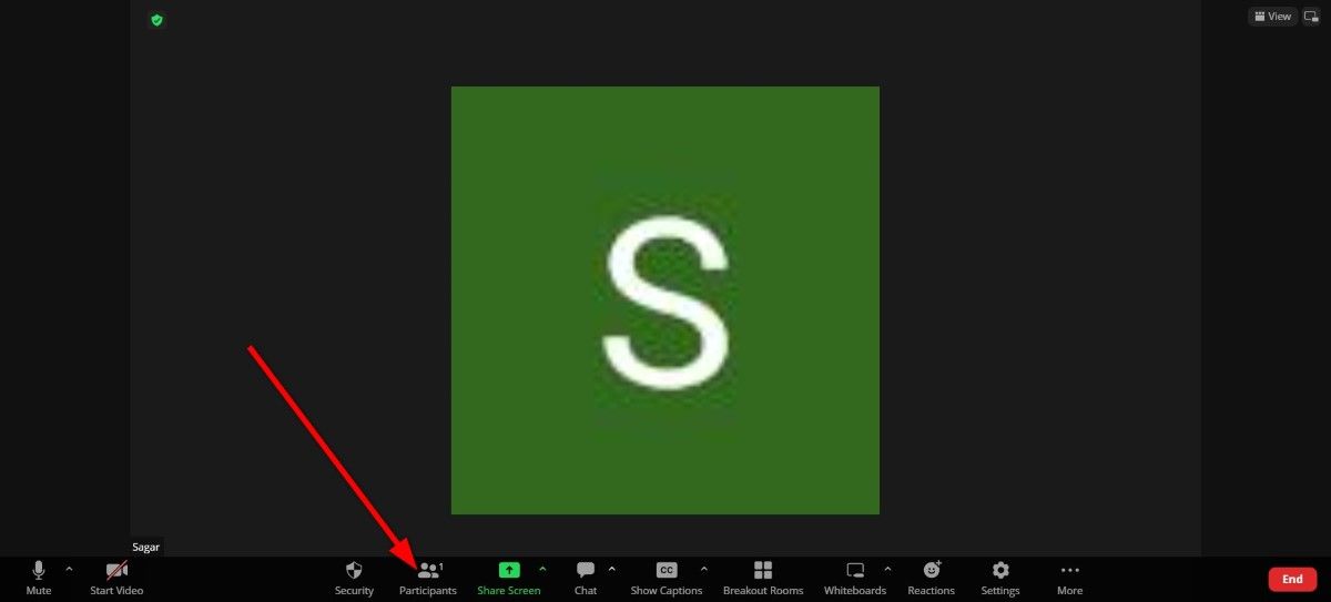 How to mute Zoom meeting participants