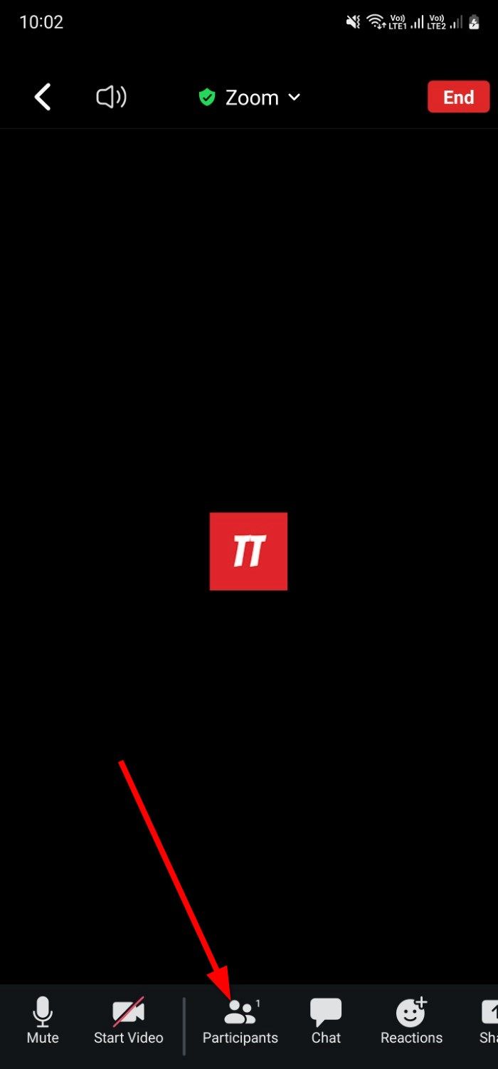 How to mute Zoom meeting participants