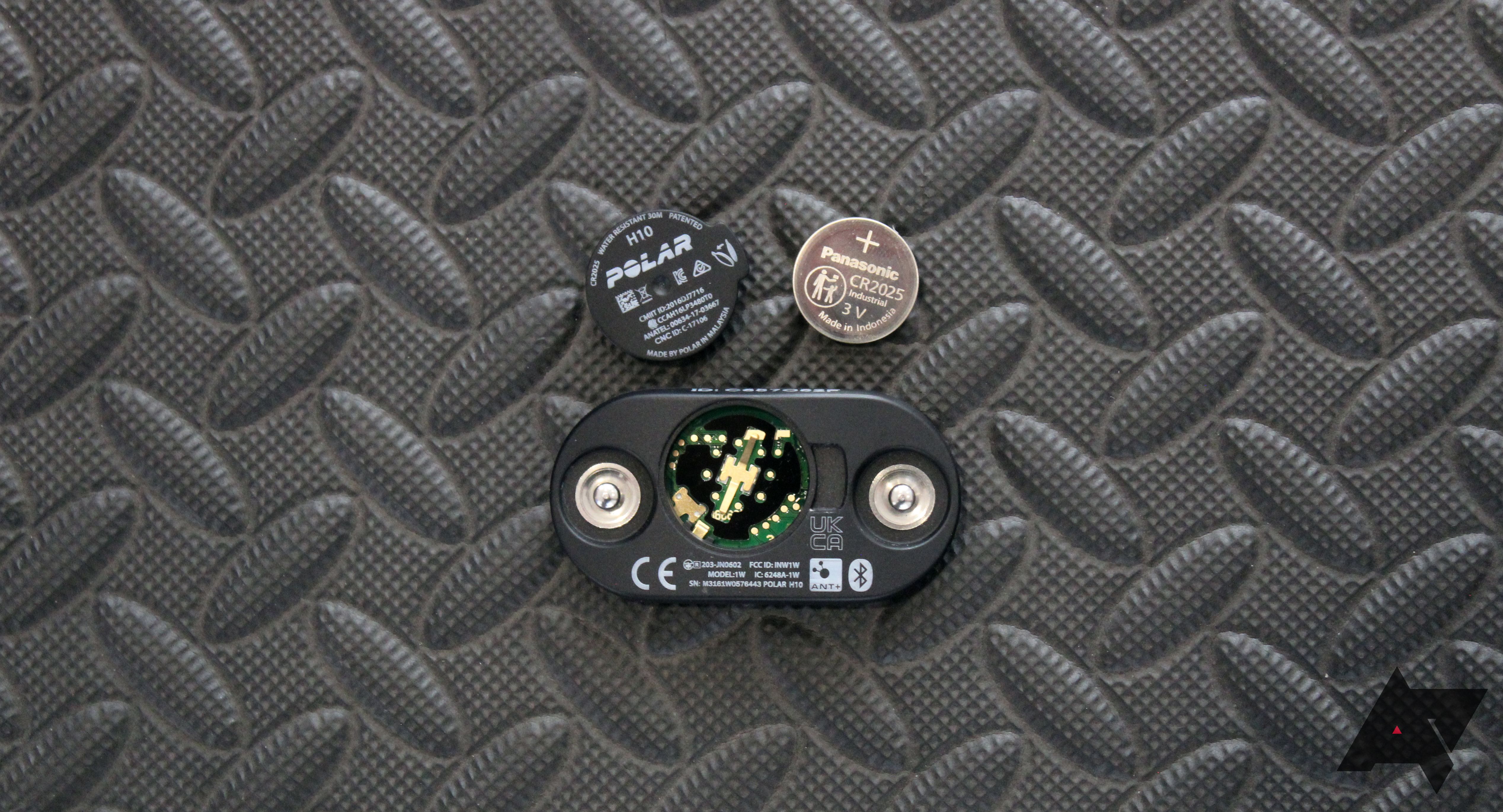 Polar H10 review: Connected heart rate monitoring with a catch