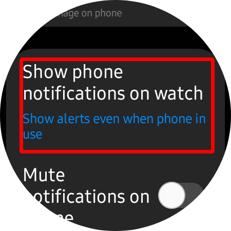 Click this option to show your phone notifications on the watch.