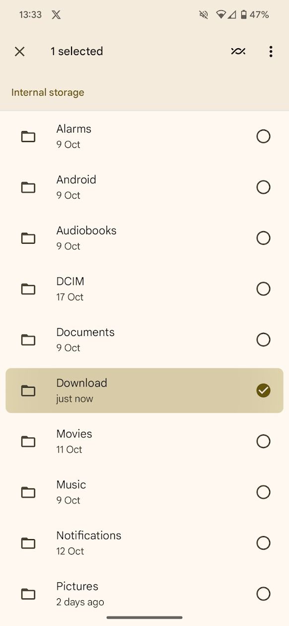 screenshot of internal storage in files by google app