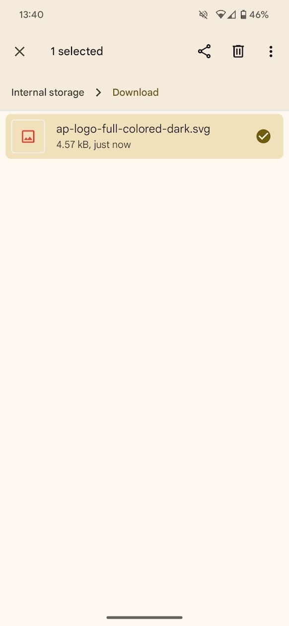 screenshot of file in downloads folder of files by google app