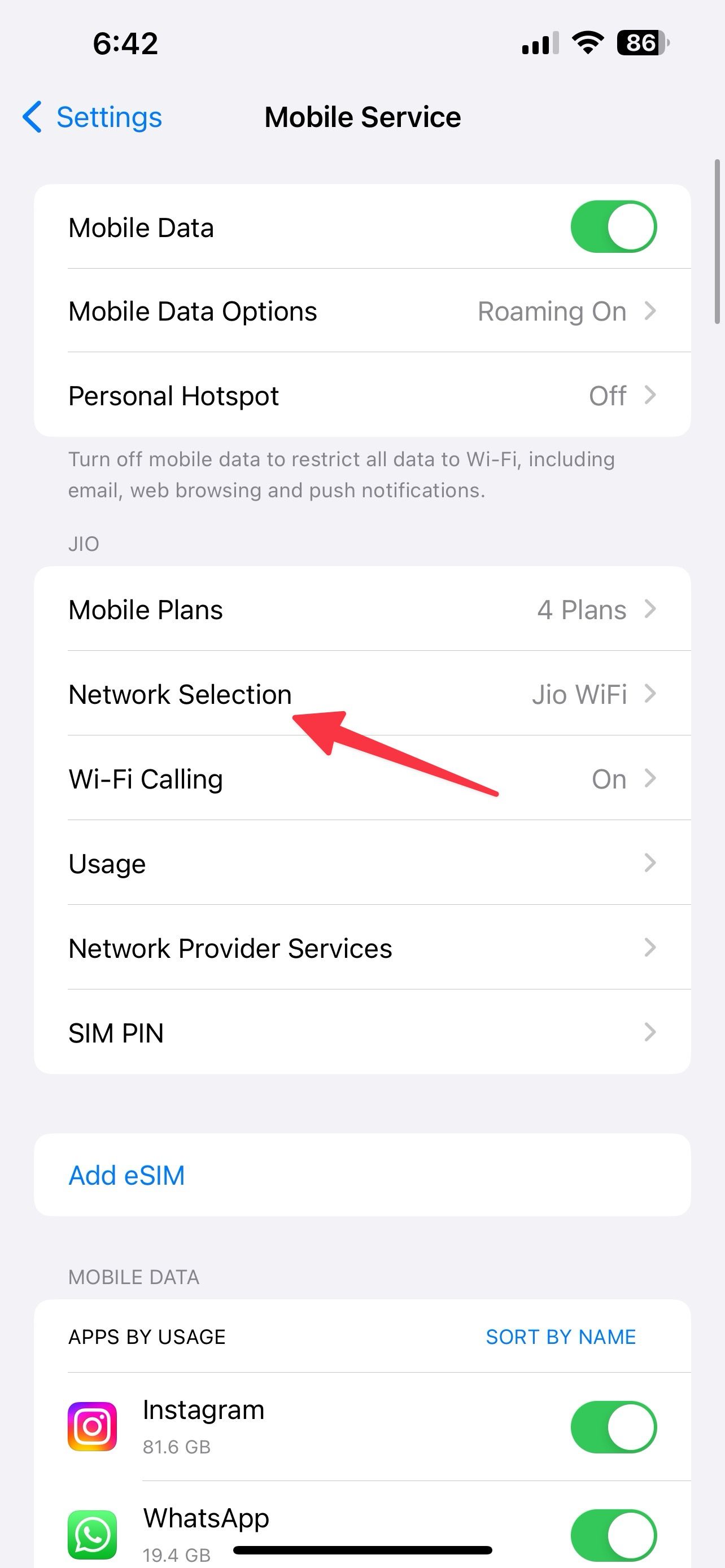 network selection on iPhone