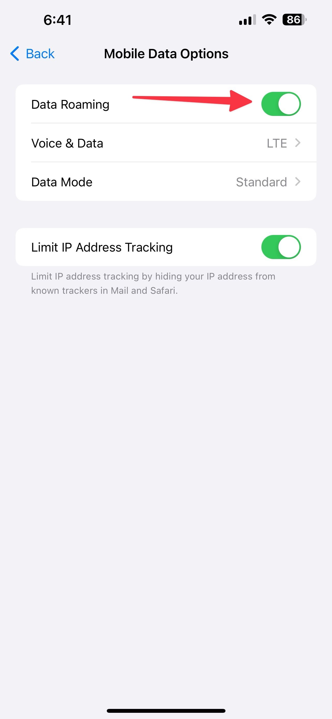 activate data roaming on iPhone