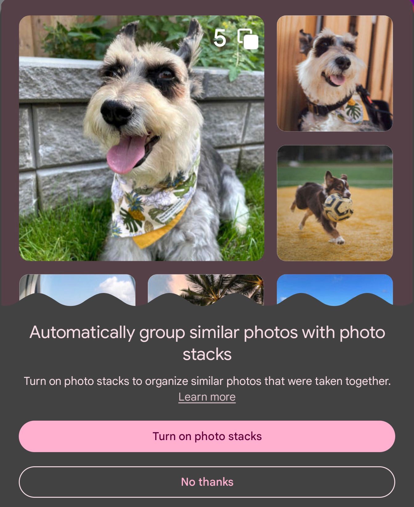 photo stacks in Google Photos