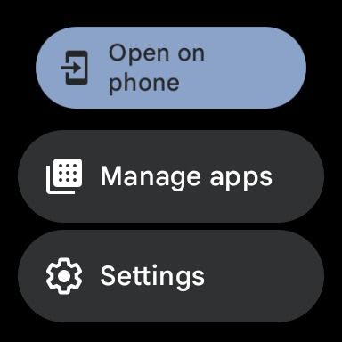 pixel watch settings menu for play store