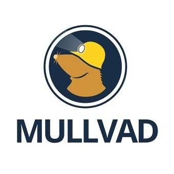 mullvad vpn logo on a white background