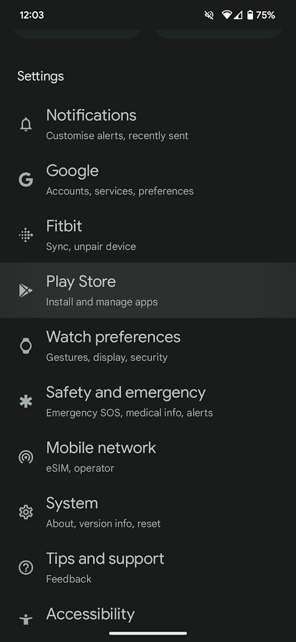 screenshot of pixel watch app settings menu