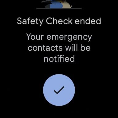 pixel watch confirmation screen of safety check end