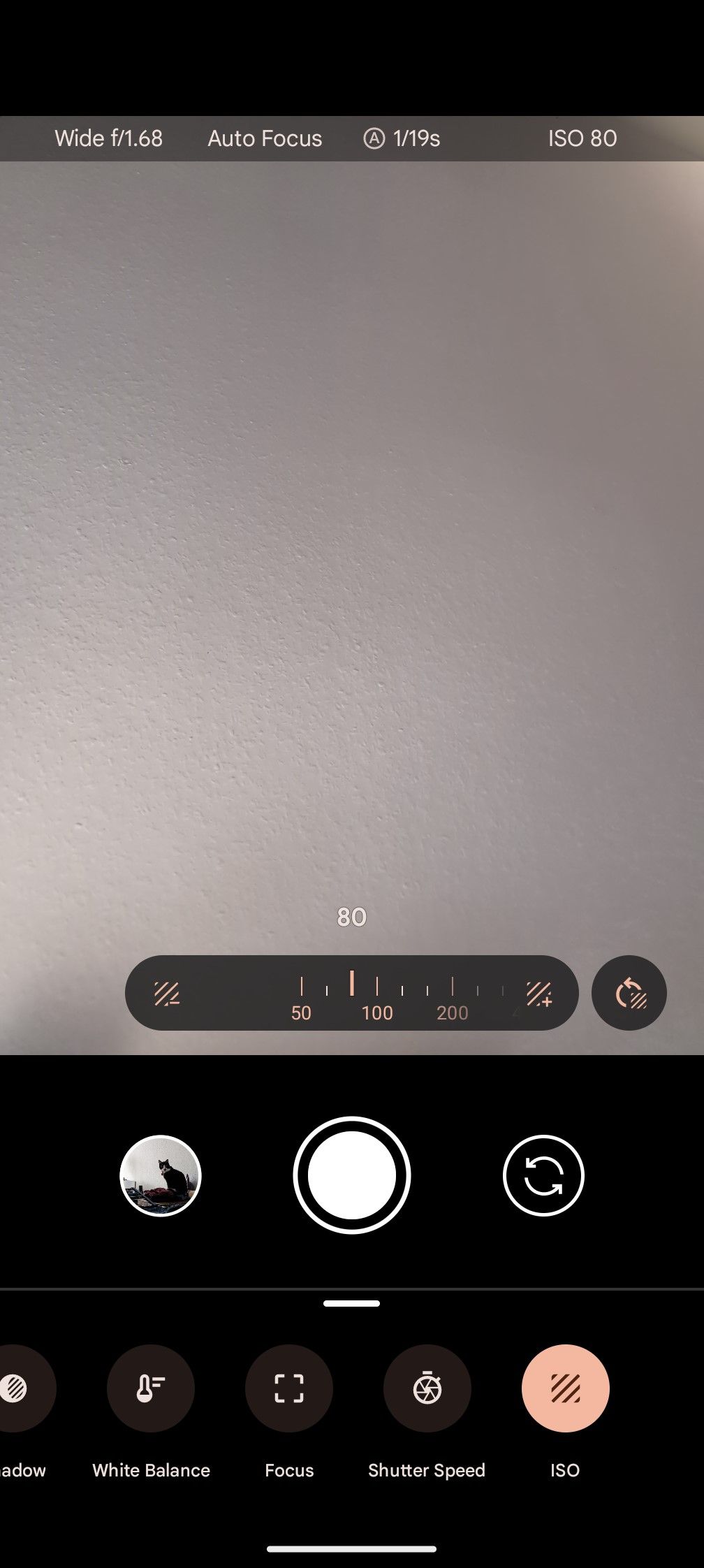 Screenshot of Google Pixel Pro ISO setting in pro mode