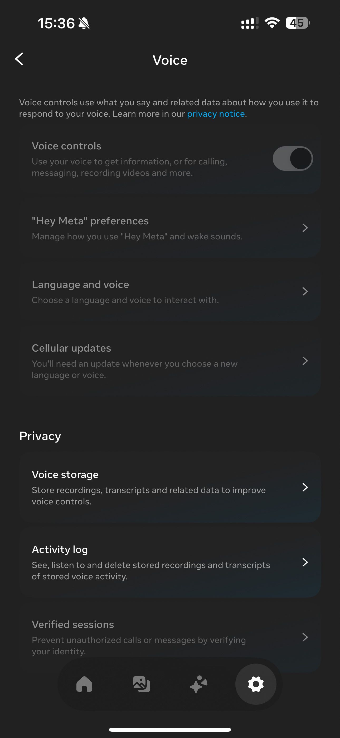 Ray-Ban Meta View app showing the voice control options