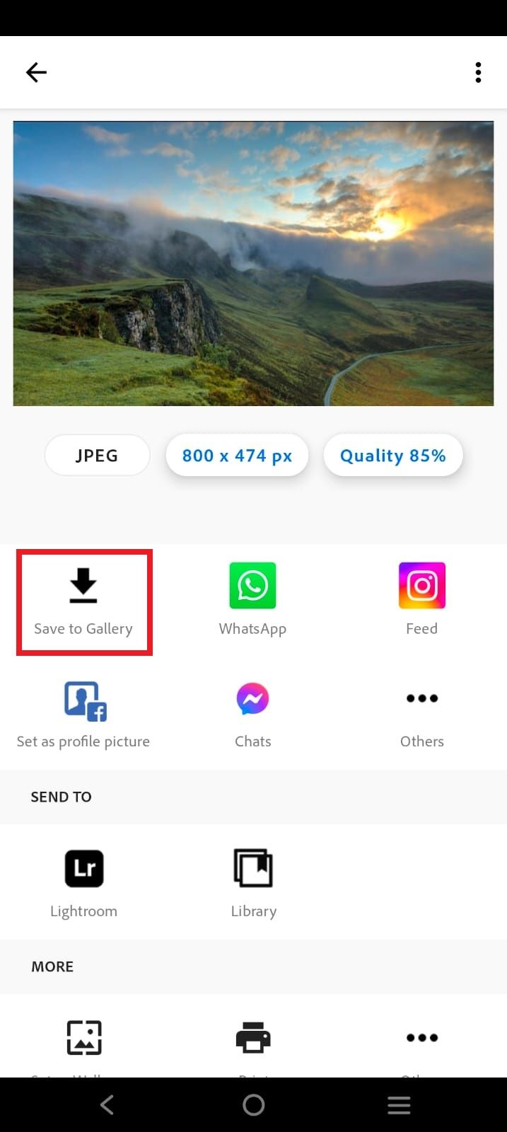 Screenshot highlighting the 'Save to Gallery' option in the Adobe Photoshop Express app