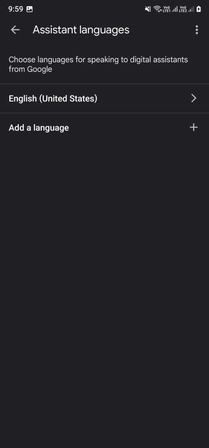 Screenshot showing option to change or add the language on the Google app