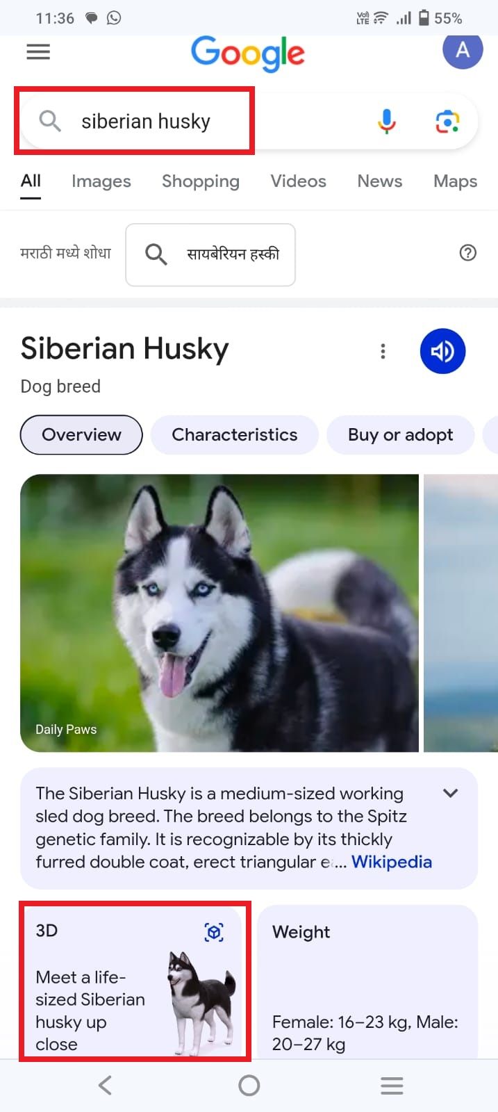 Screenshot highlighting the section 'Meet a life-sized Siberian husky up close'