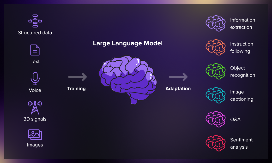 Large Language Model diagram showing the process of working with raw data