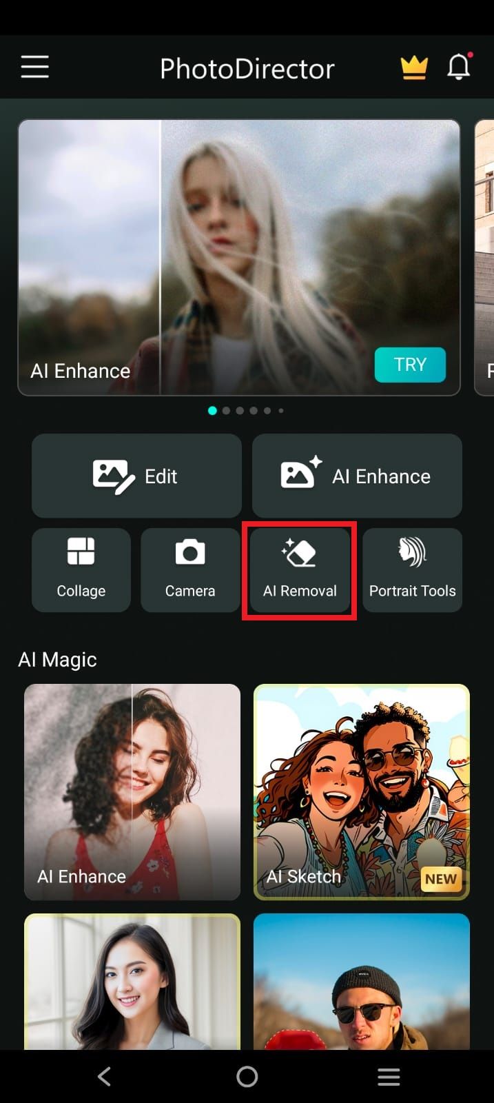 Screenshot highlighting the option 'AI Removal' in the Photo DIrector app
