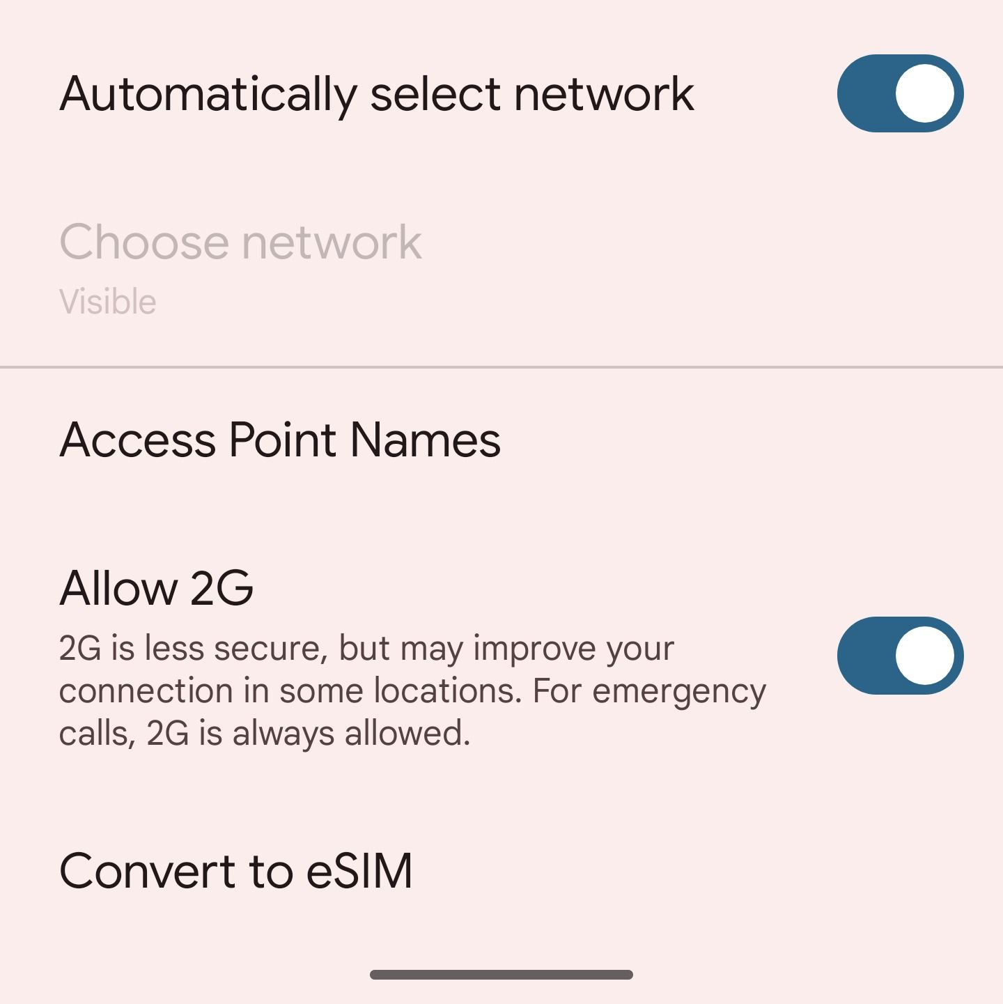 Pixel phone eSIM conversion option in the Settings app