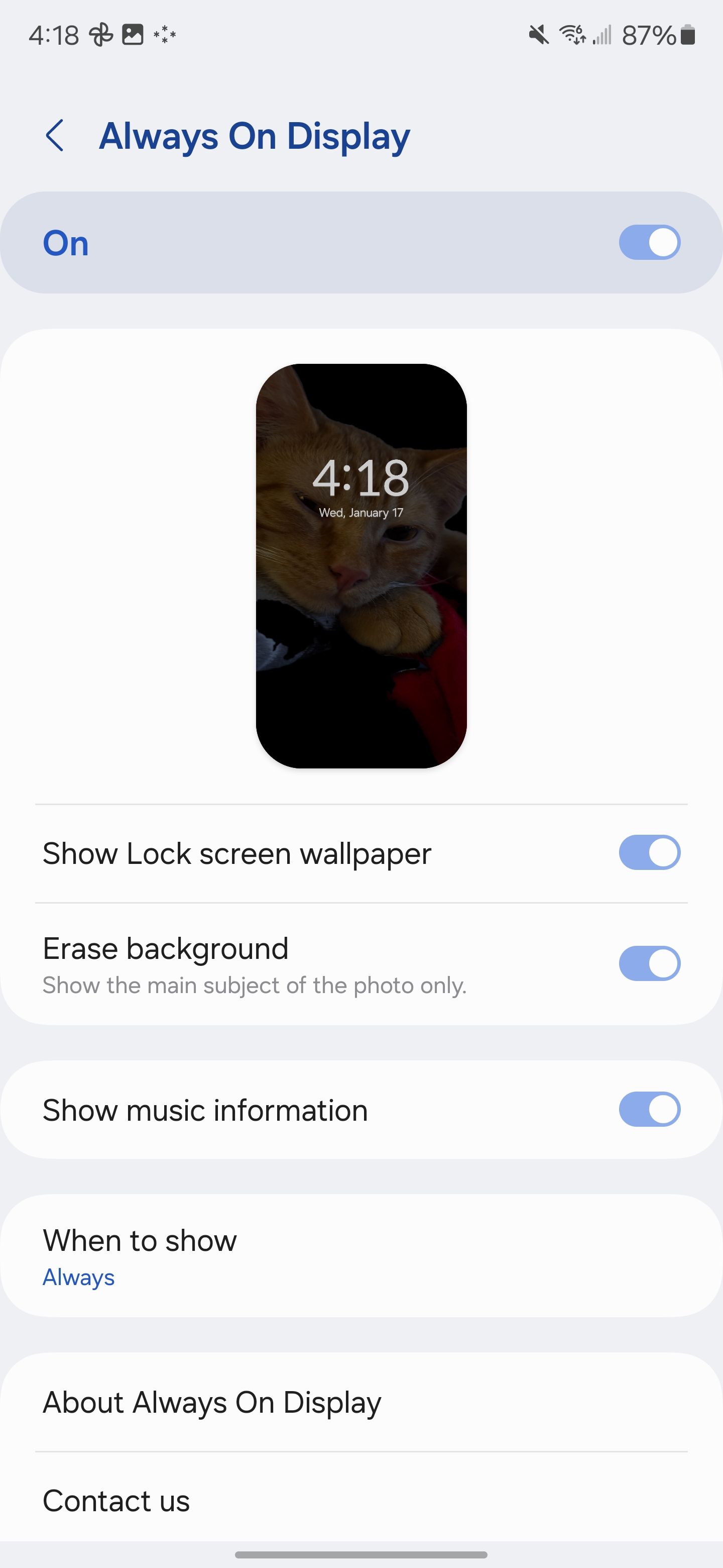 Screenshot showing 'Erase background' on the Samsung Galaxy S24