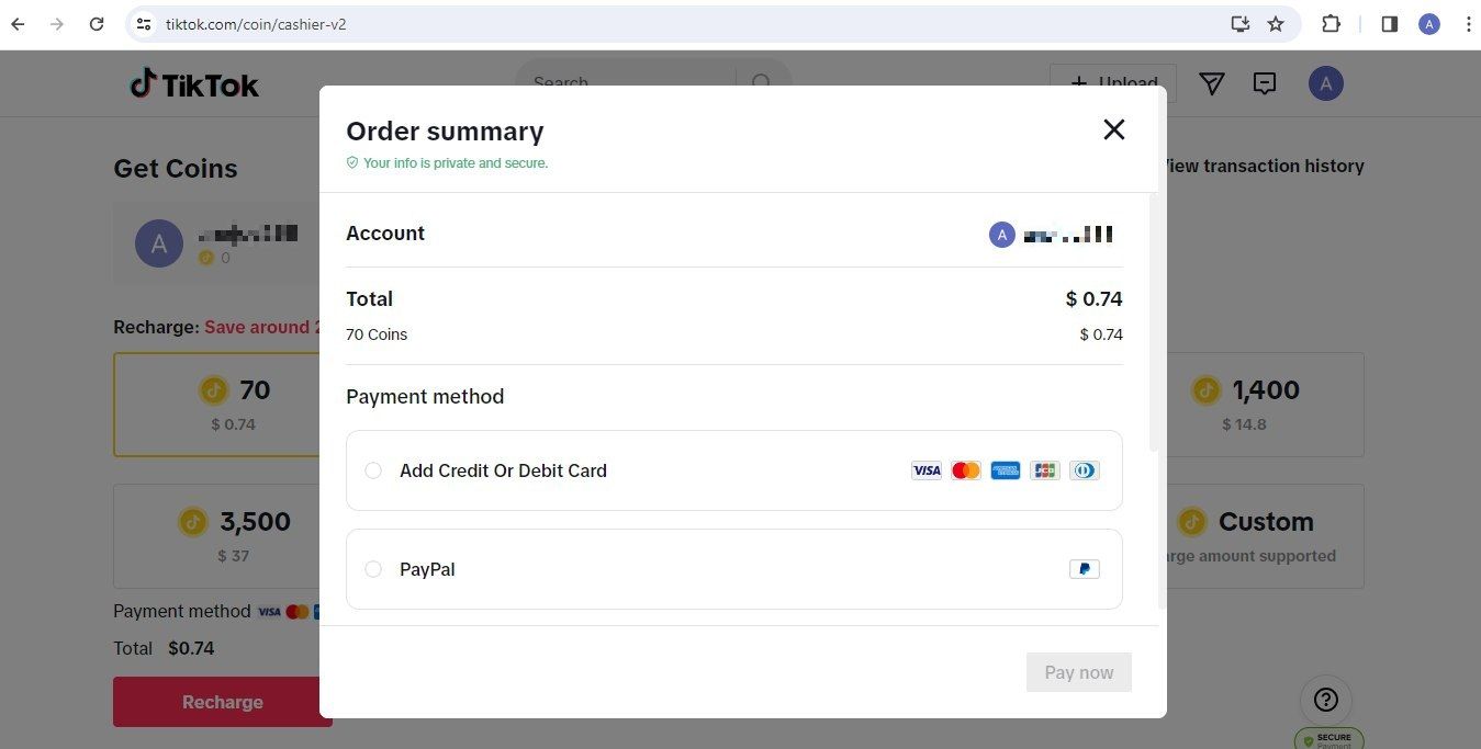Screenshot of payment methods on the TikTok website