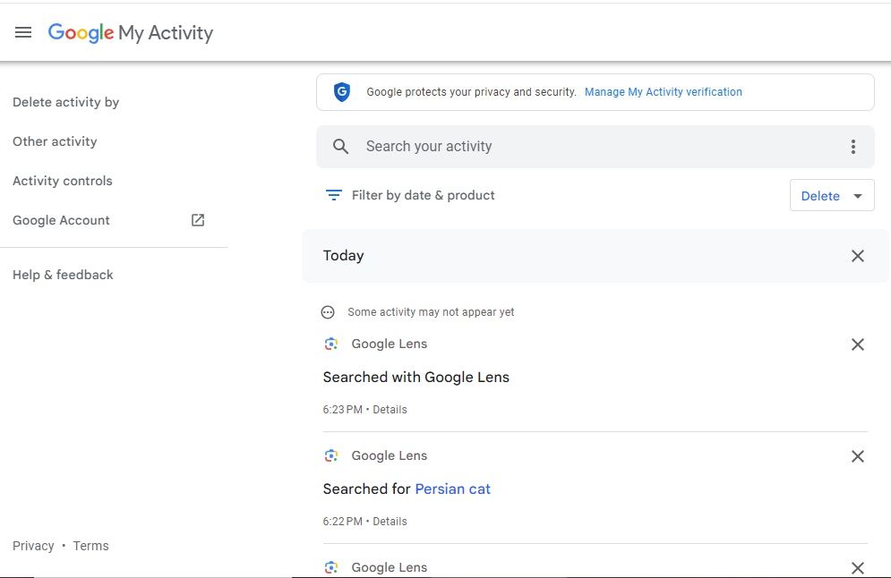 Screenshot showing the Google My Activity page 