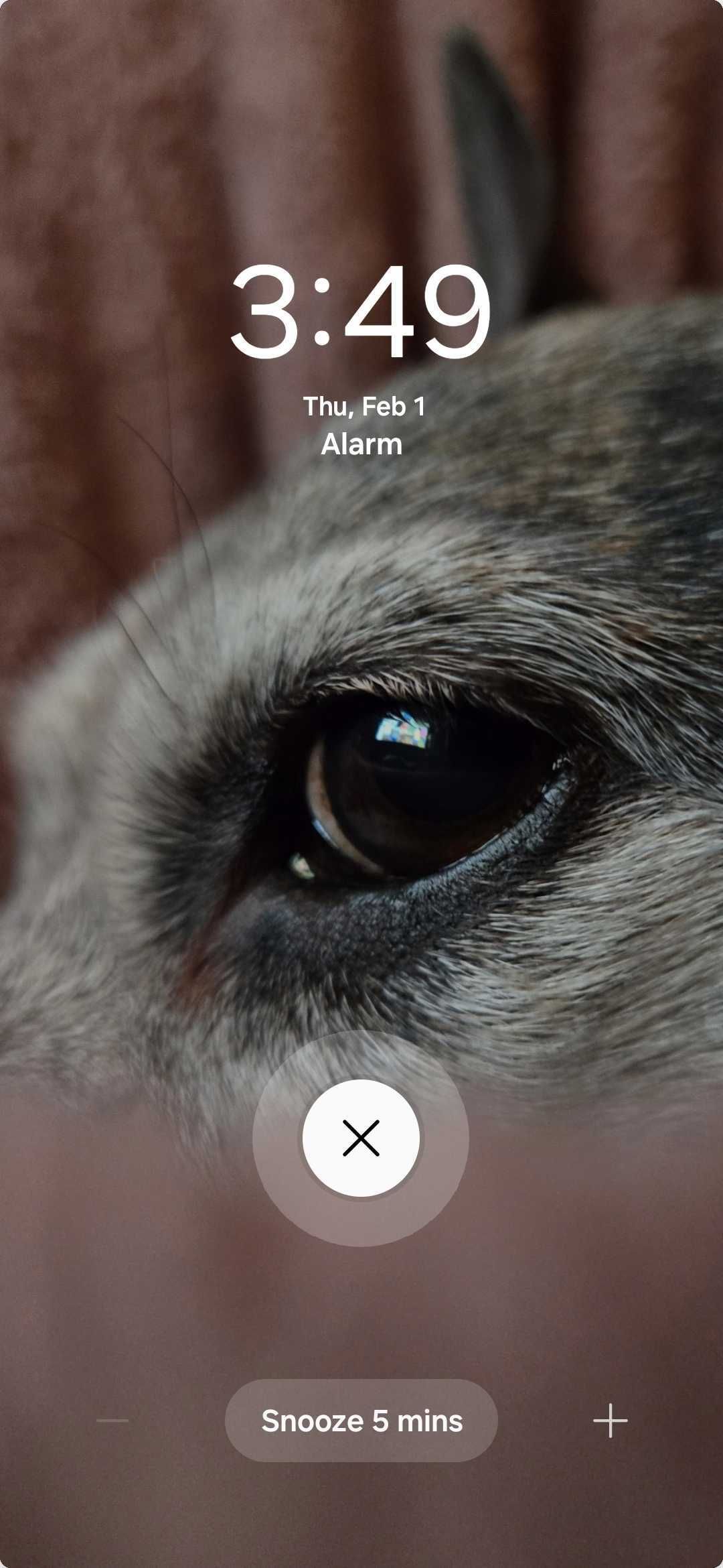 One UI 6 custom alarm background