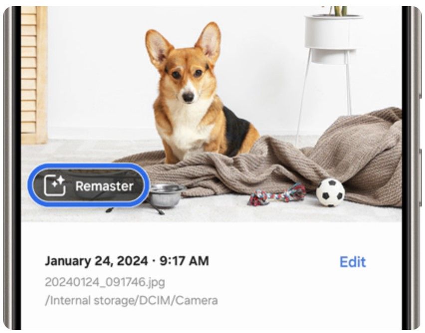 Edit suggestions in the Samsung Gallery app of a photo of a dog