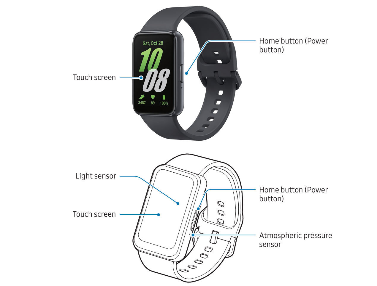 Samsung fit 2024 e apple