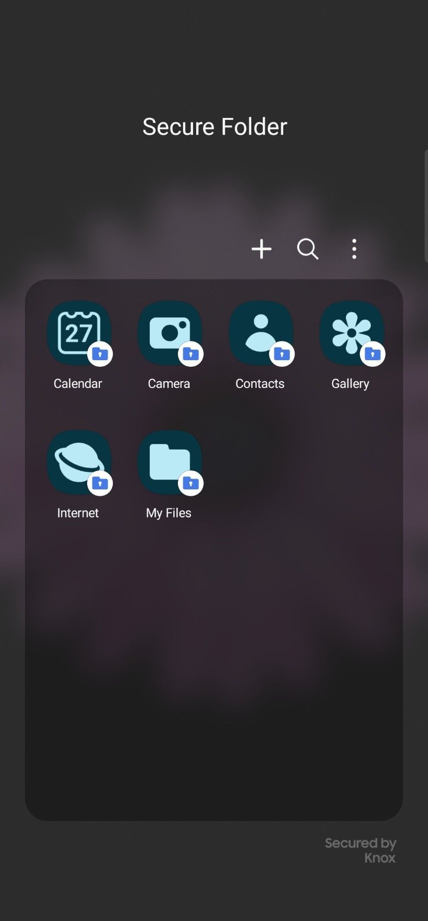 Samsung Secure Folder menu