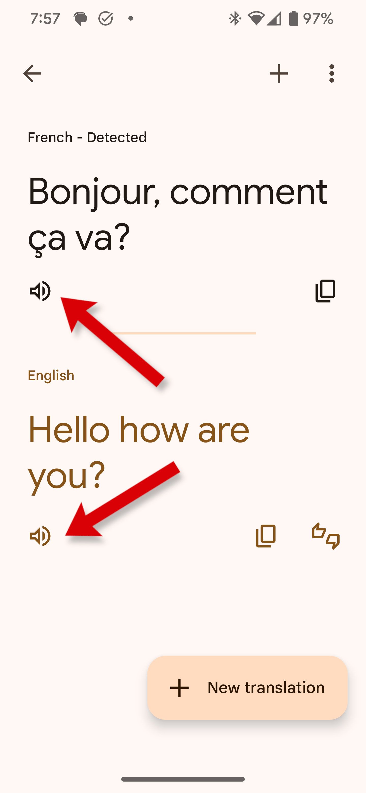 The Future Of Translation: Google Translate'S Role - bfgi4iq