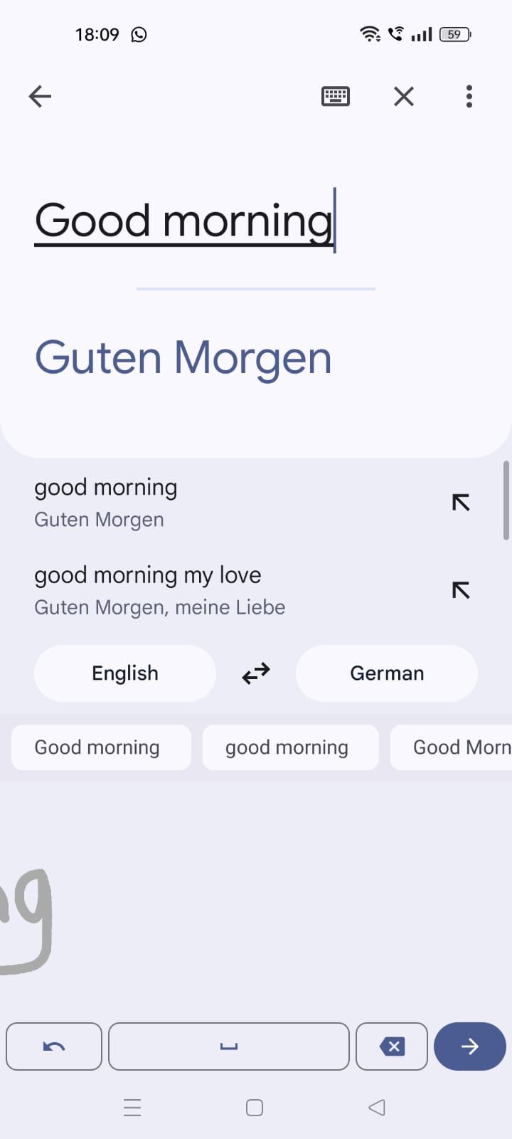 Screenshot showing the translated text in the Google Translate app