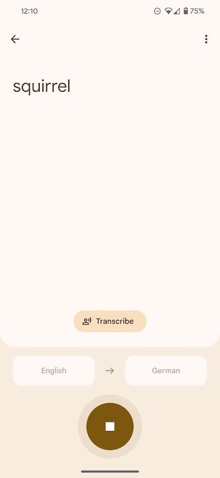 google translate app voice to text translate