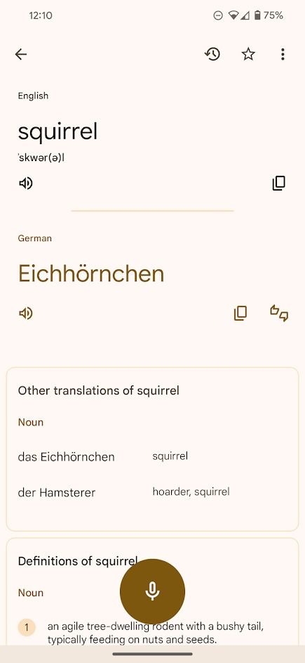 google translate app voice to text translation result