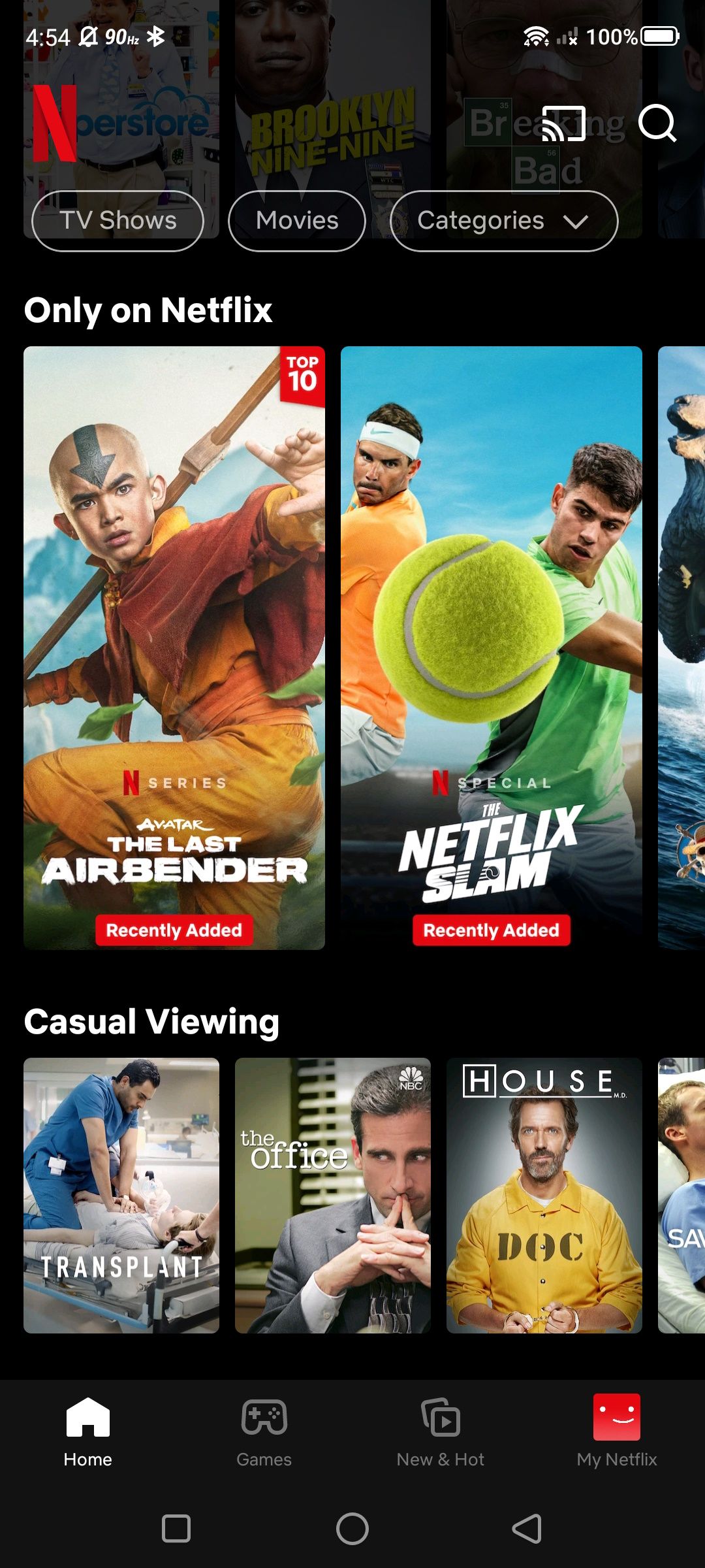 netflix mobile app home page