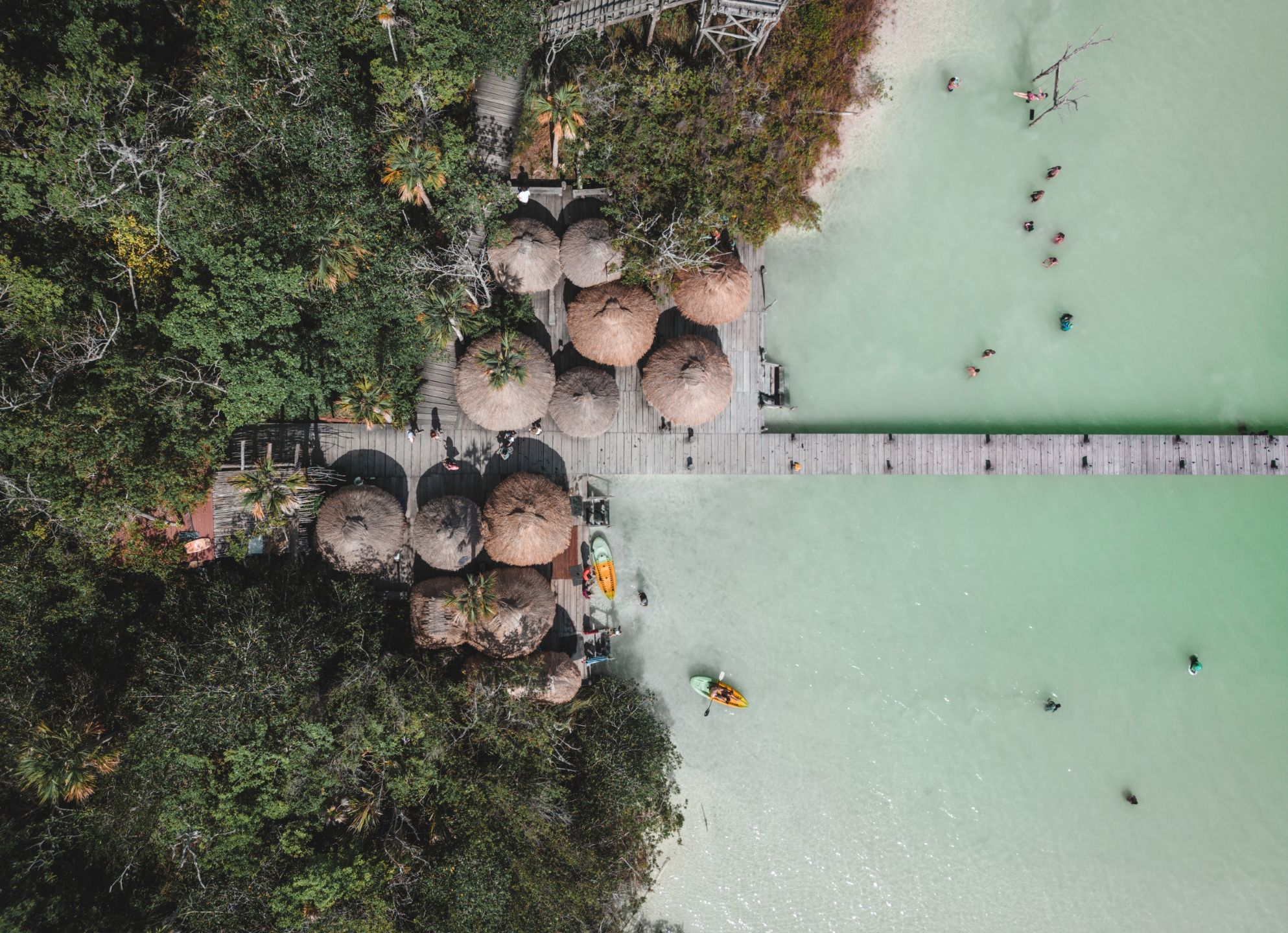 Cenotes beside a jungle with a jetty leading up to mint green waters along the Mexican coast