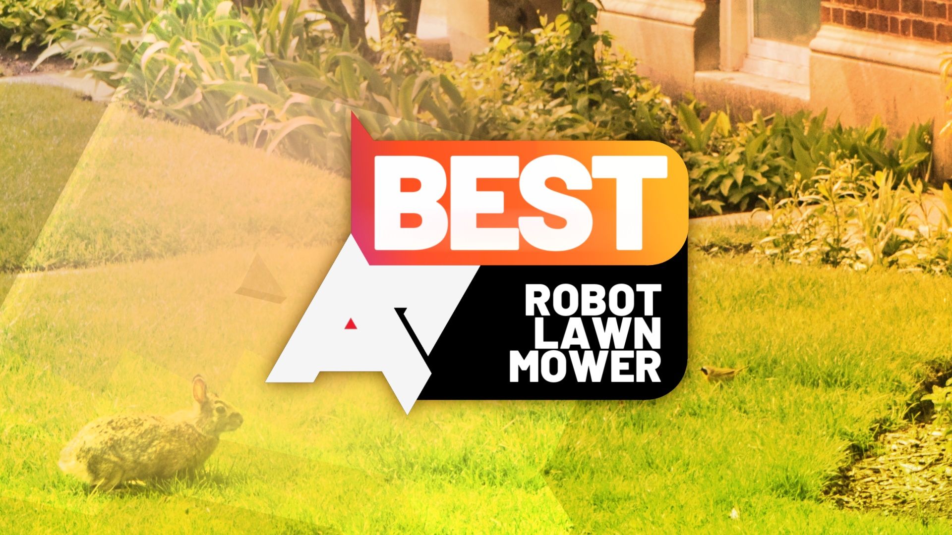 A photo of a lawn with an 'AP Best Robot Lawnmower' logo on top