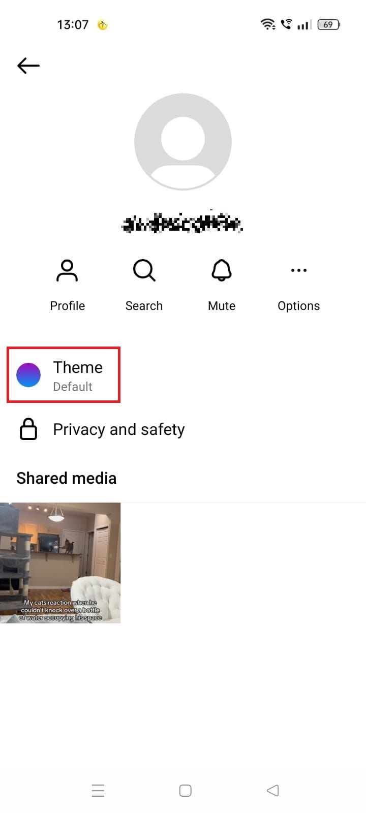 Screenshot highlighting the Theme option in the Instagram app