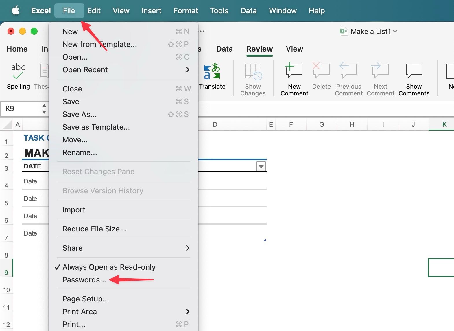 Password in Excel for Mac