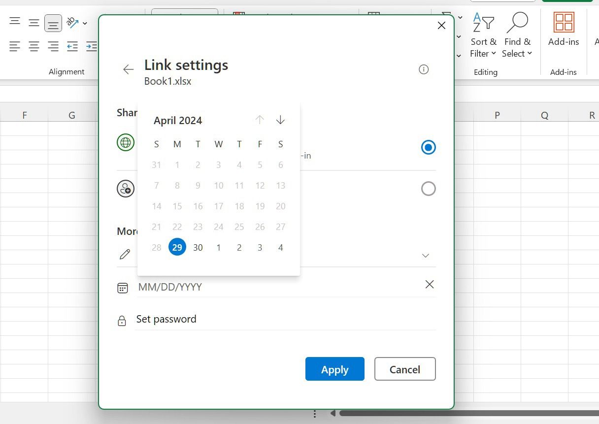 Enter Excel link password and expiry link