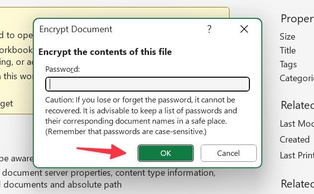 remove password from excel