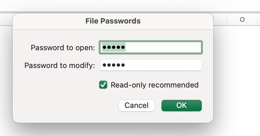 Enter password to lock Excel on Mac