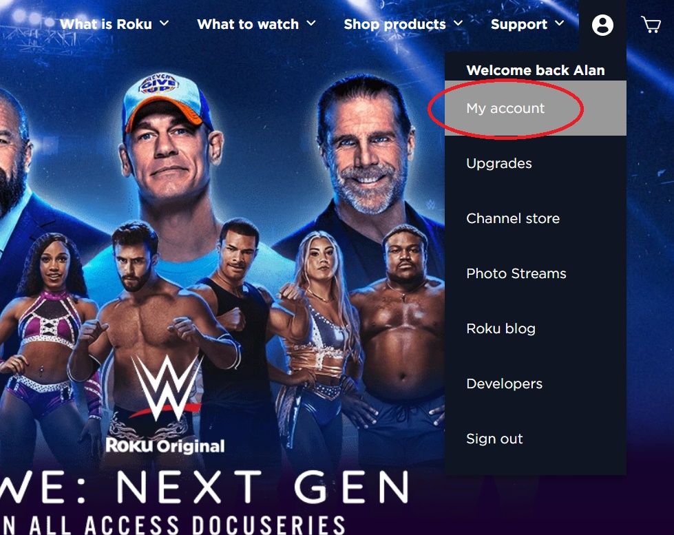 Screenshot of the My account option on Roku.com