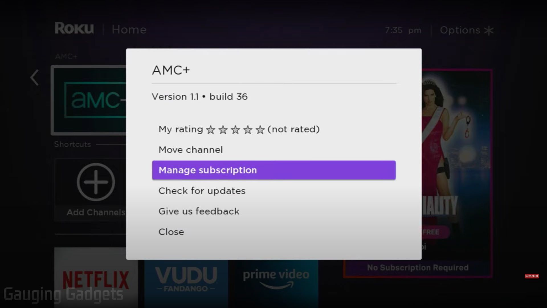 Screenshot of the Roku TV interface with the Manage subscription option selected