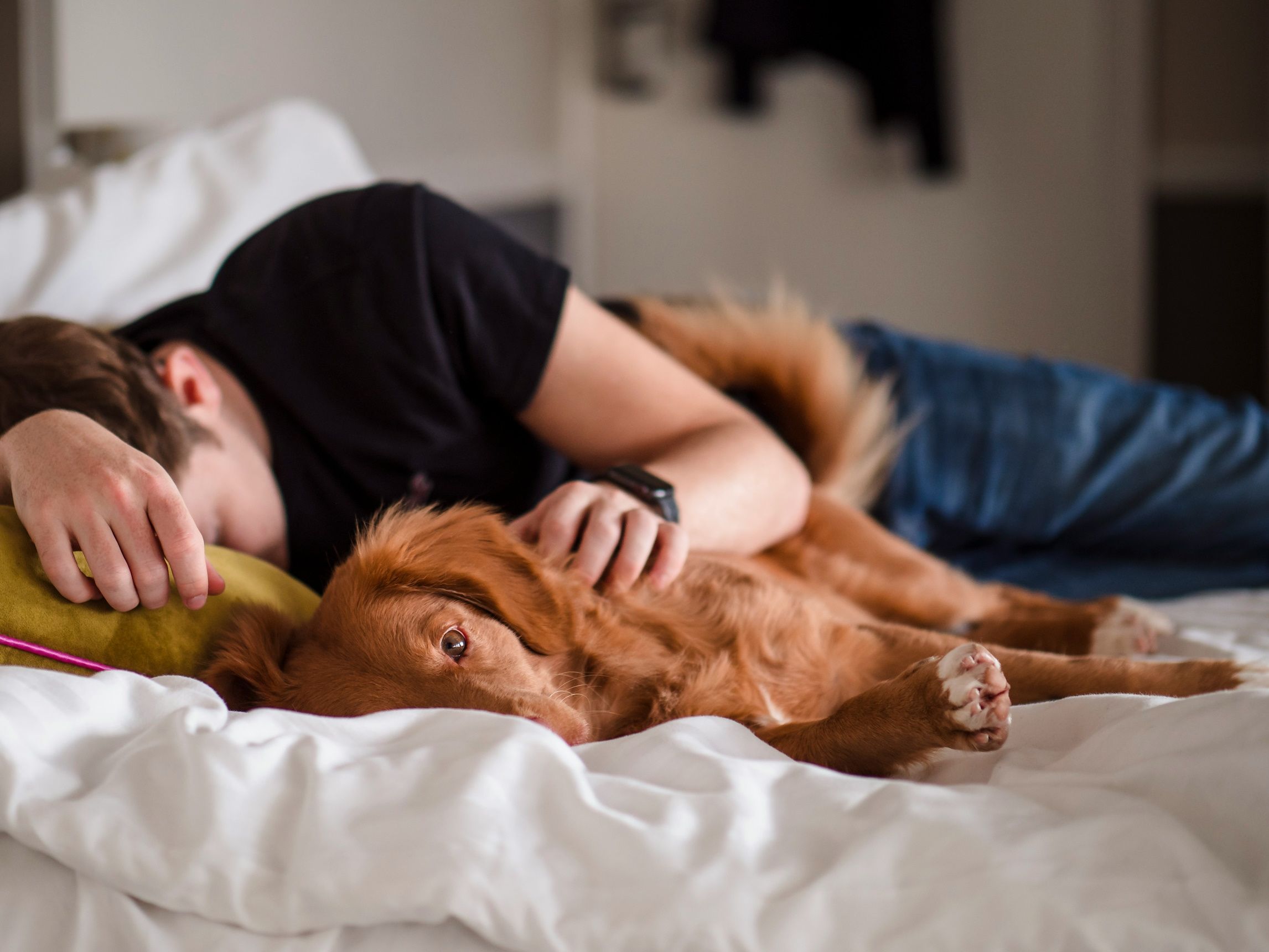 man and dog laying side by side on a bed