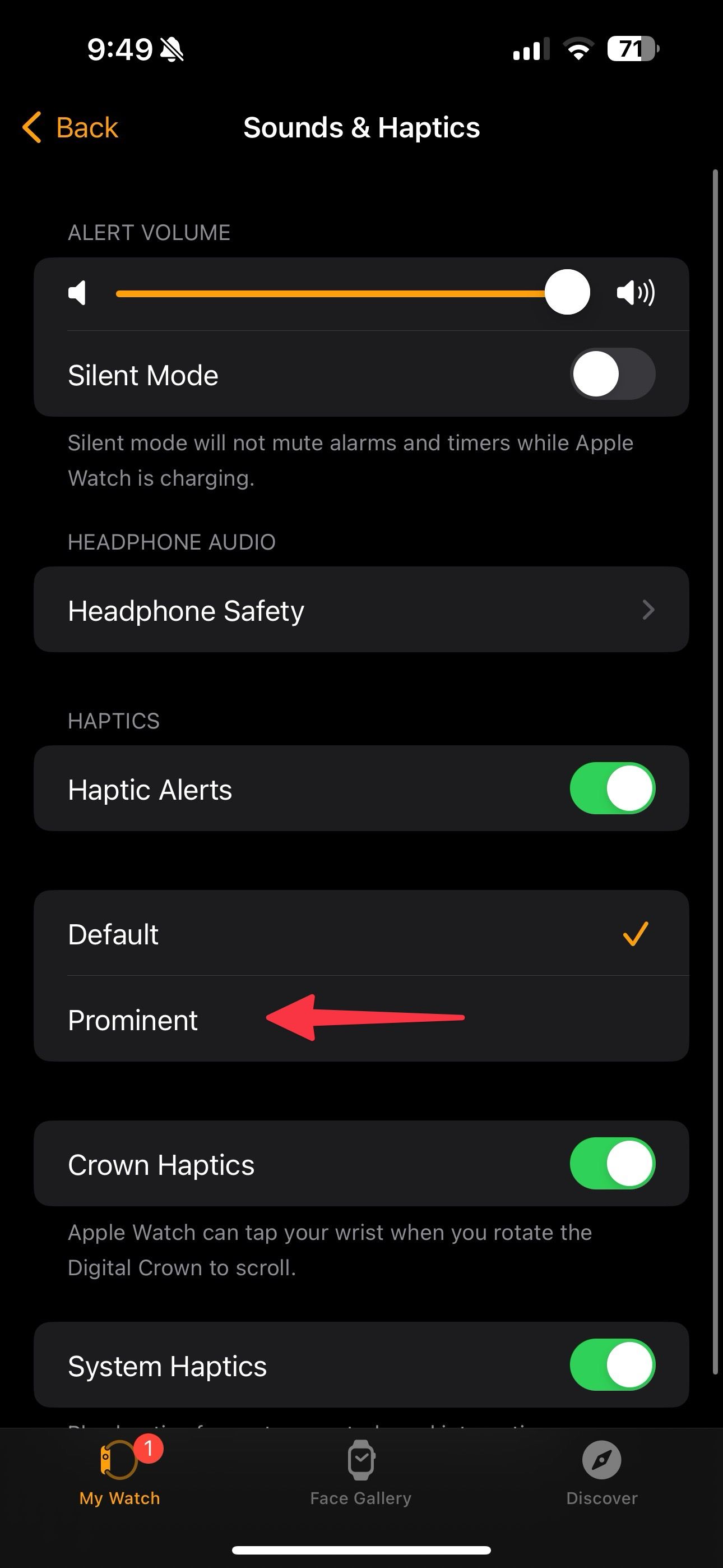 Vibration settings on Apple Watch