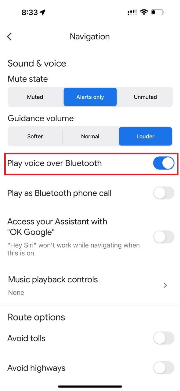 Google Maps Why can't I get voice directions on my iPhone?