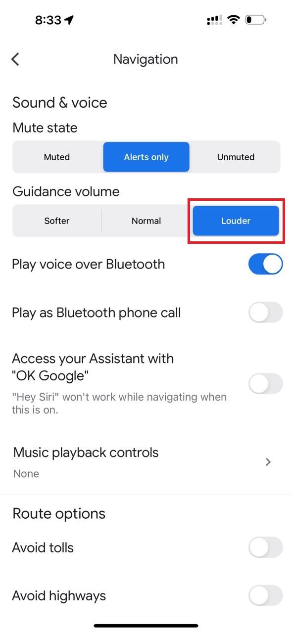 Google Maps Why can't I get voice directions on my iPhone?