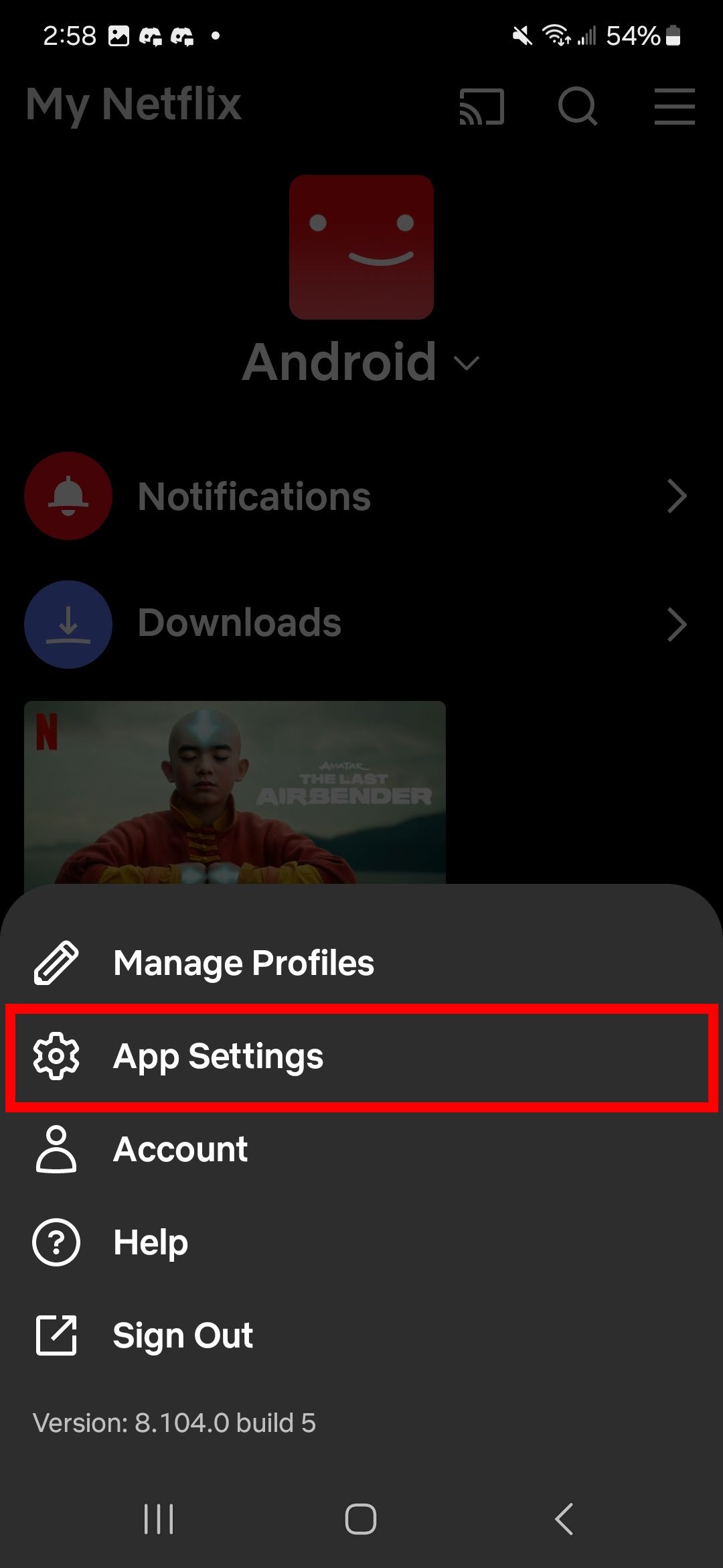 red rectangle outline over app settings in netflix app
